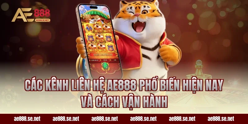 Các kênh liên hệ AE888 phổ biến hiện nay và cách vận hành