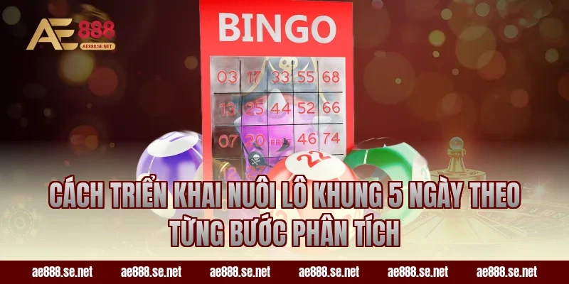 Cách triển khai nuôi lô khung 5 ngày theo từng bước phân tích