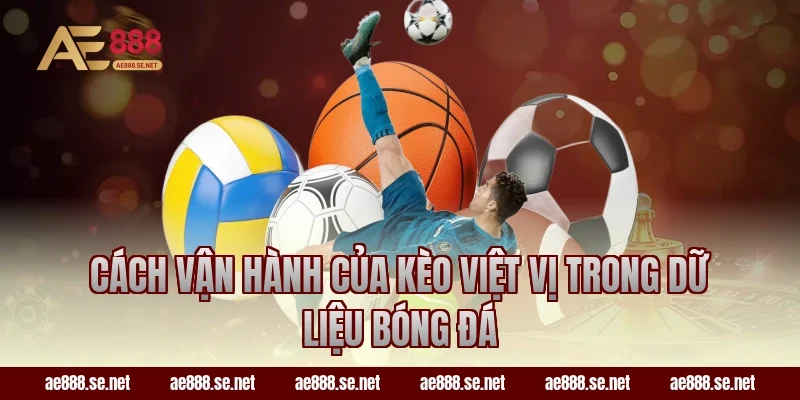 Cách vận hành của kèo việt vị trong dữ liệu bóng đá