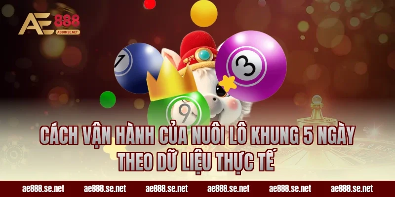 Cách vận hành của nuôi lô khung 5 ngày theo dữ liệu thực tế
