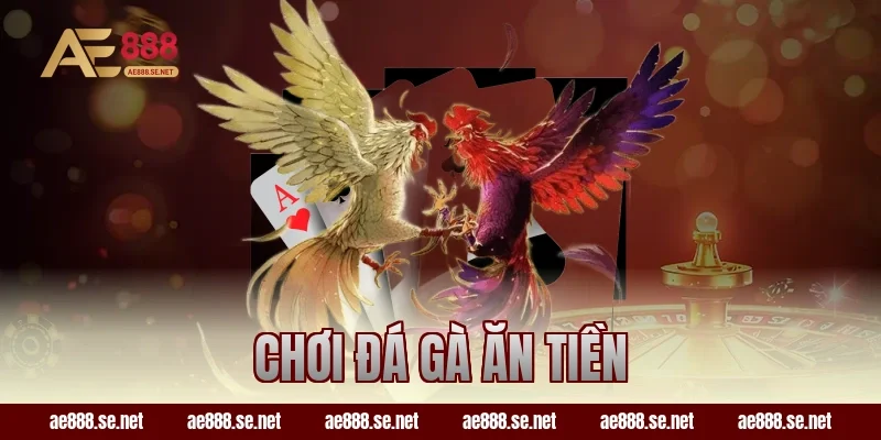 chơi đá gà ăn tiền