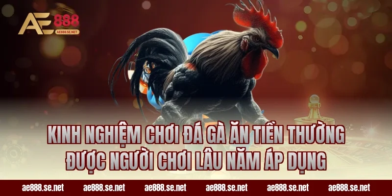 Kinh nghiệm chơi đá gà ăn tiền thường được người chơi lâu năm áp dụng