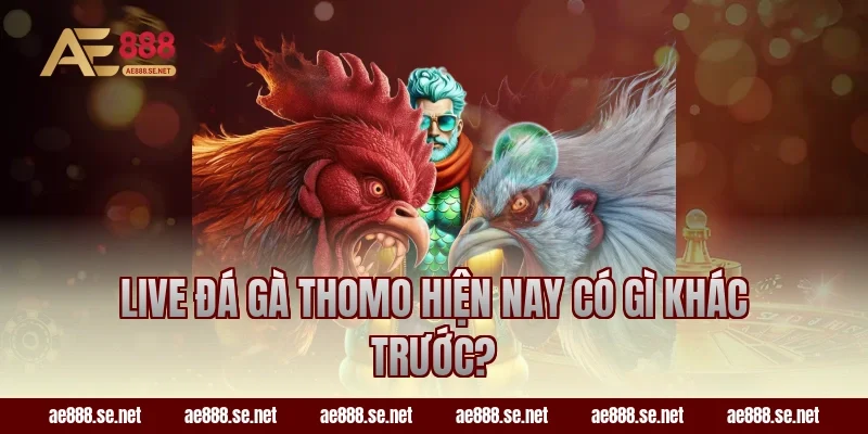 Live đá gà Thomo hiện nay có gì khác trước?