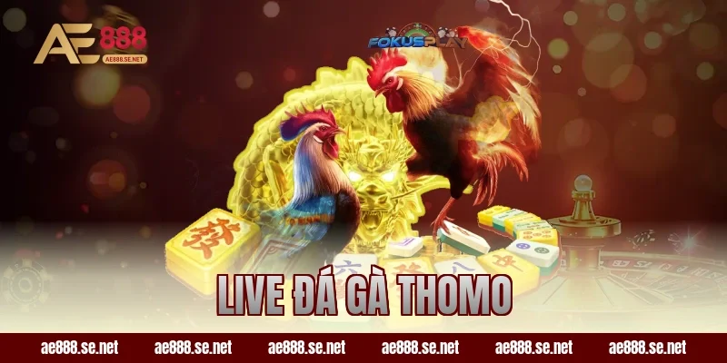 live đá gà thomo