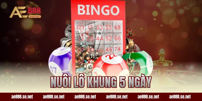 nuôi lô khung 5 ngày