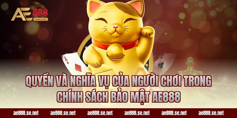 Quyền và nghĩa vụ của người chơi trong chính sách bảo mật ae888