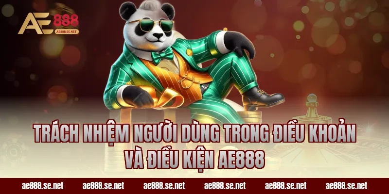 Trách nhiệm người dùng trong điều khoản và điều kiện AE888
