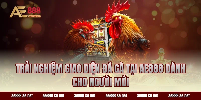 Trải nghiệm giao diện đá gà tại AE888 dành cho người mới